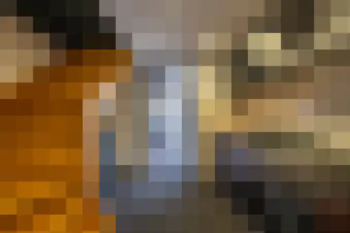 Skieppedrifte 5 Drogeham thumbnail 80