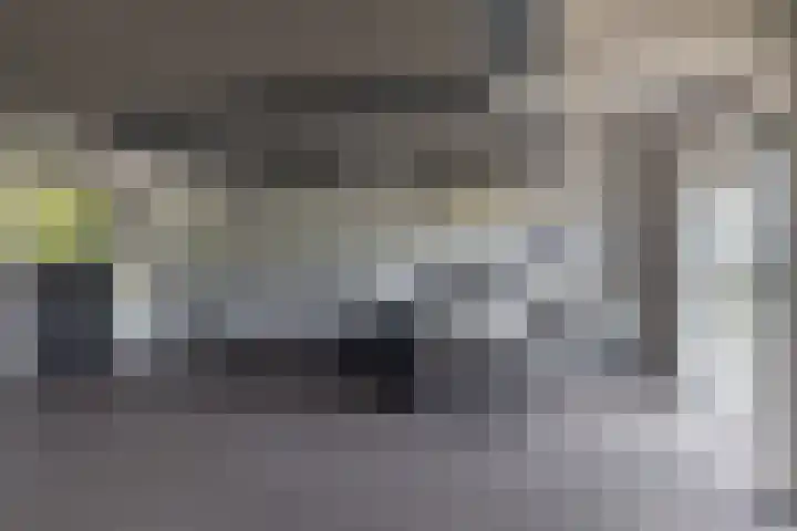 Skieppedrifte 5 Drogeham thumbnail 82