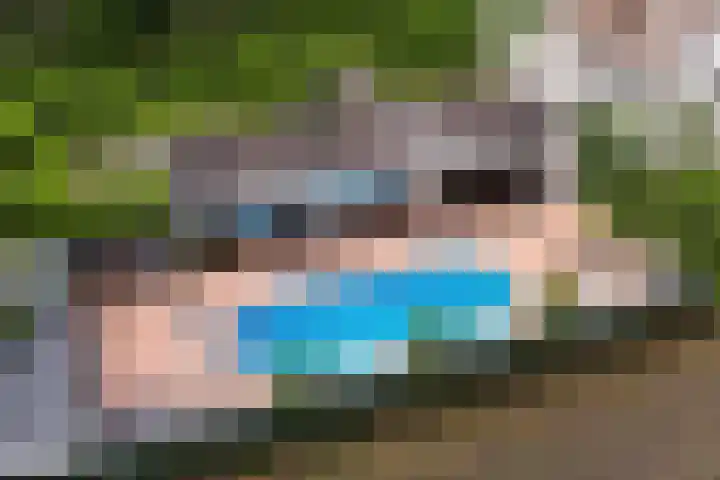 Skieppedrifte 5 Drogeham thumbnail 86