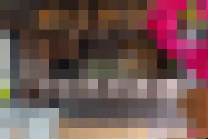 Skieppedrifte 5 Drogeham thumbnail 89