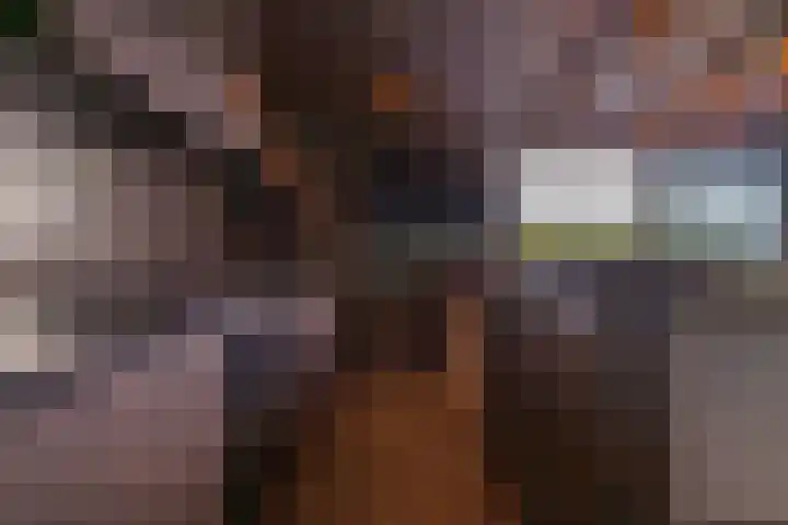Skieppedrifte 5 Drogeham thumbnail 91