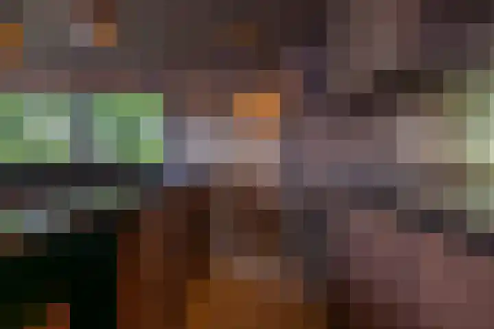 Skieppedrifte 5 Drogeham thumbnail 92