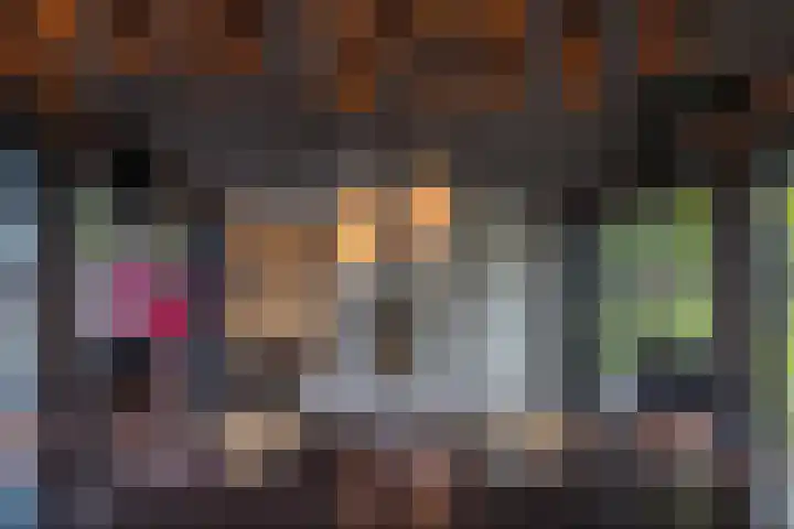 Skieppedrifte 5 Drogeham thumbnail 93