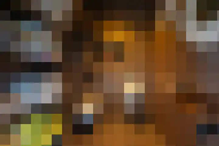 Skieppedrifte 5 Drogeham thumbnail 97