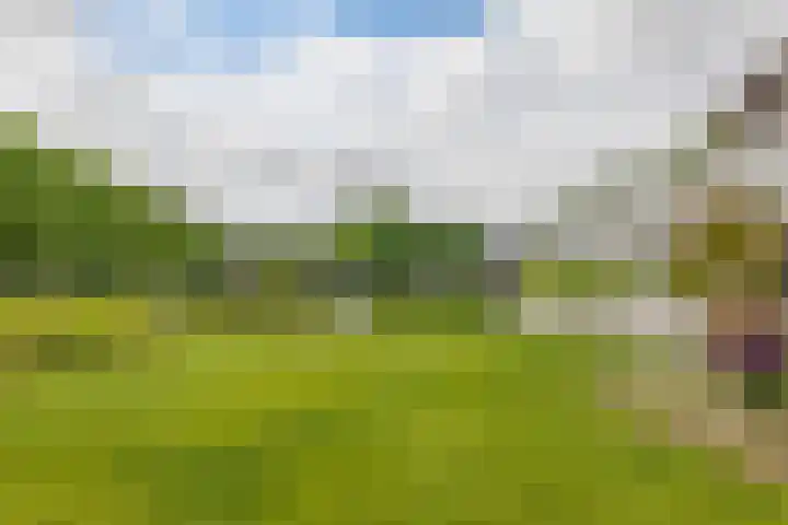 Skieppedrifte 5 Drogeham thumbnail 98