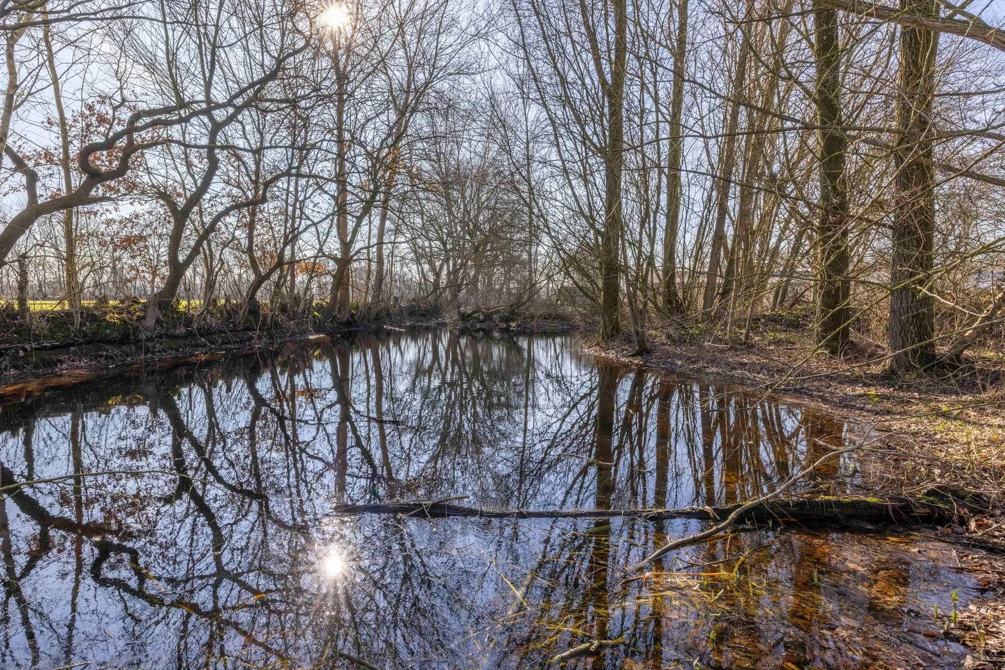 Skieppedrifte 9 A Drogeham thumbnail 78