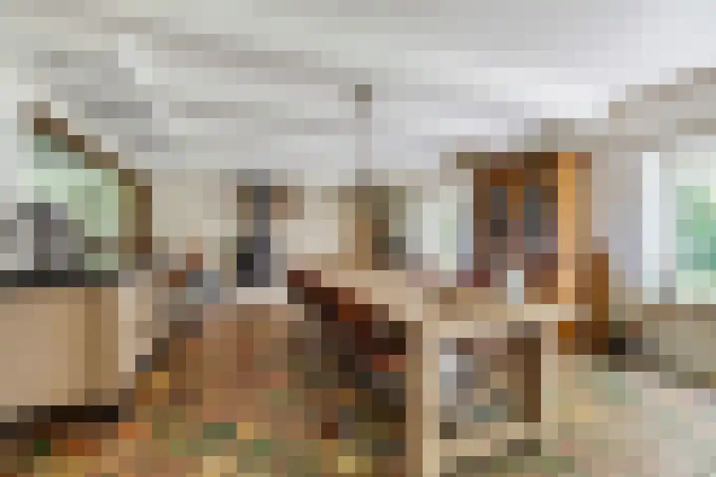 Skieppereed 22 Ie thumbnail 10
