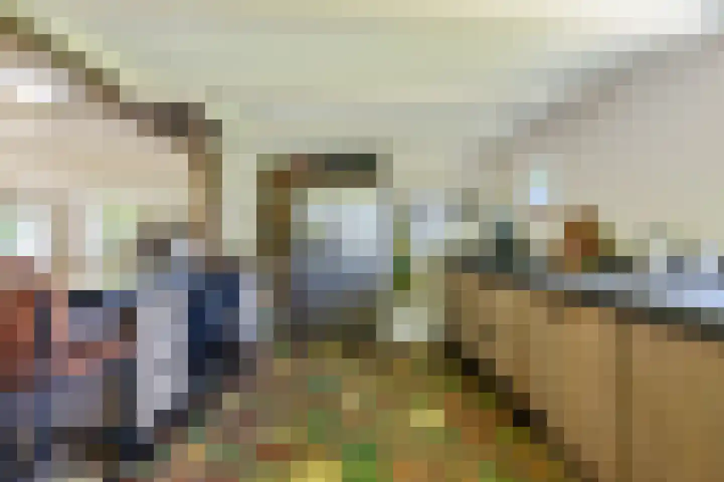 Skieppereed 22 Ie thumbnail 12