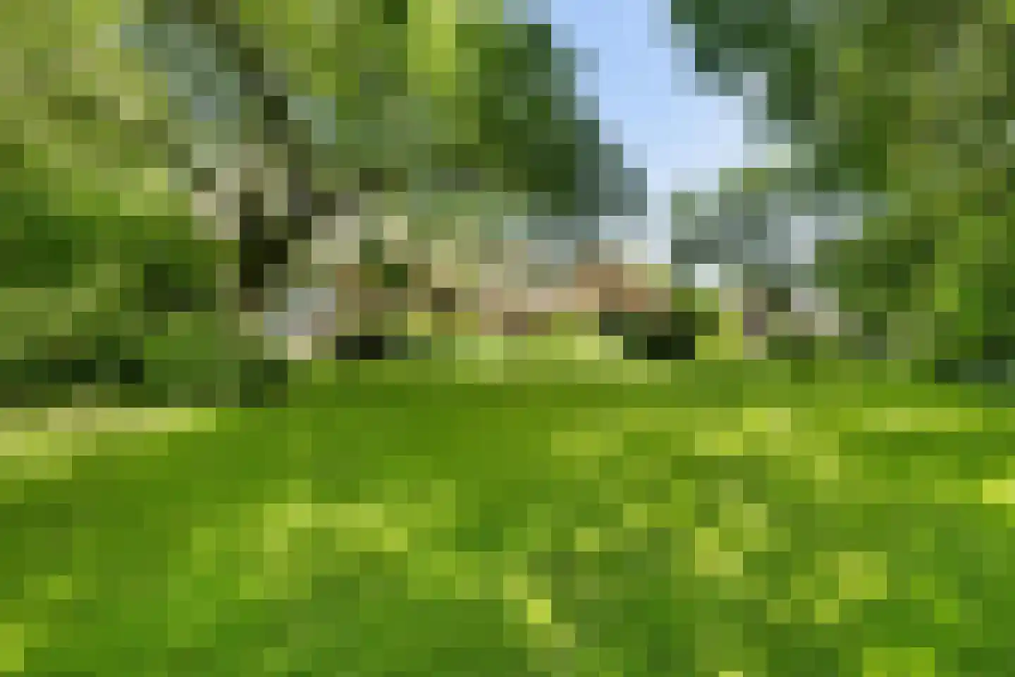 Skieppereed 22 Ie thumbnail 18