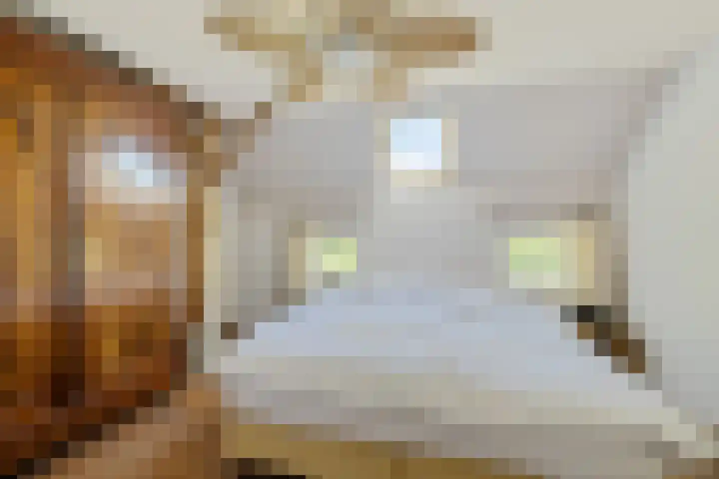 Skieppereed 22 Ie thumbnail 25
