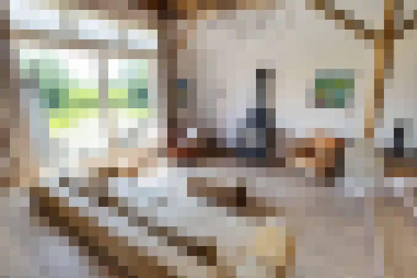 Skieppereed 22 Ie thumbnail 29