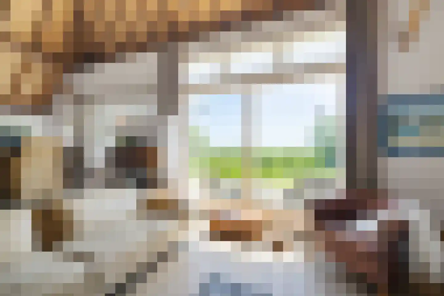 Skieppereed 22 Ie thumbnail 30
