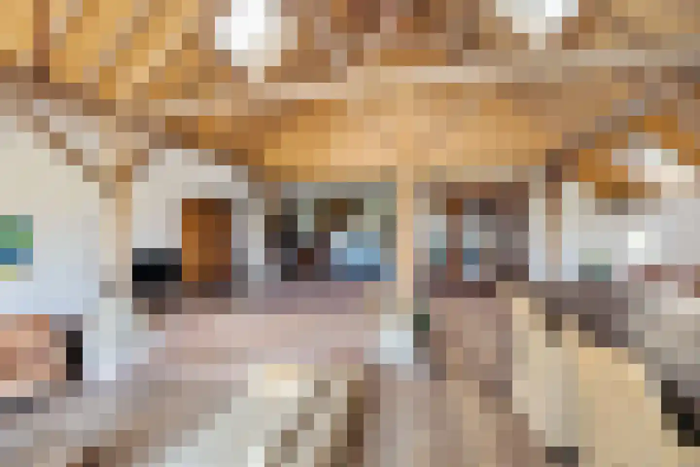 Skieppereed 22 Ie thumbnail 32