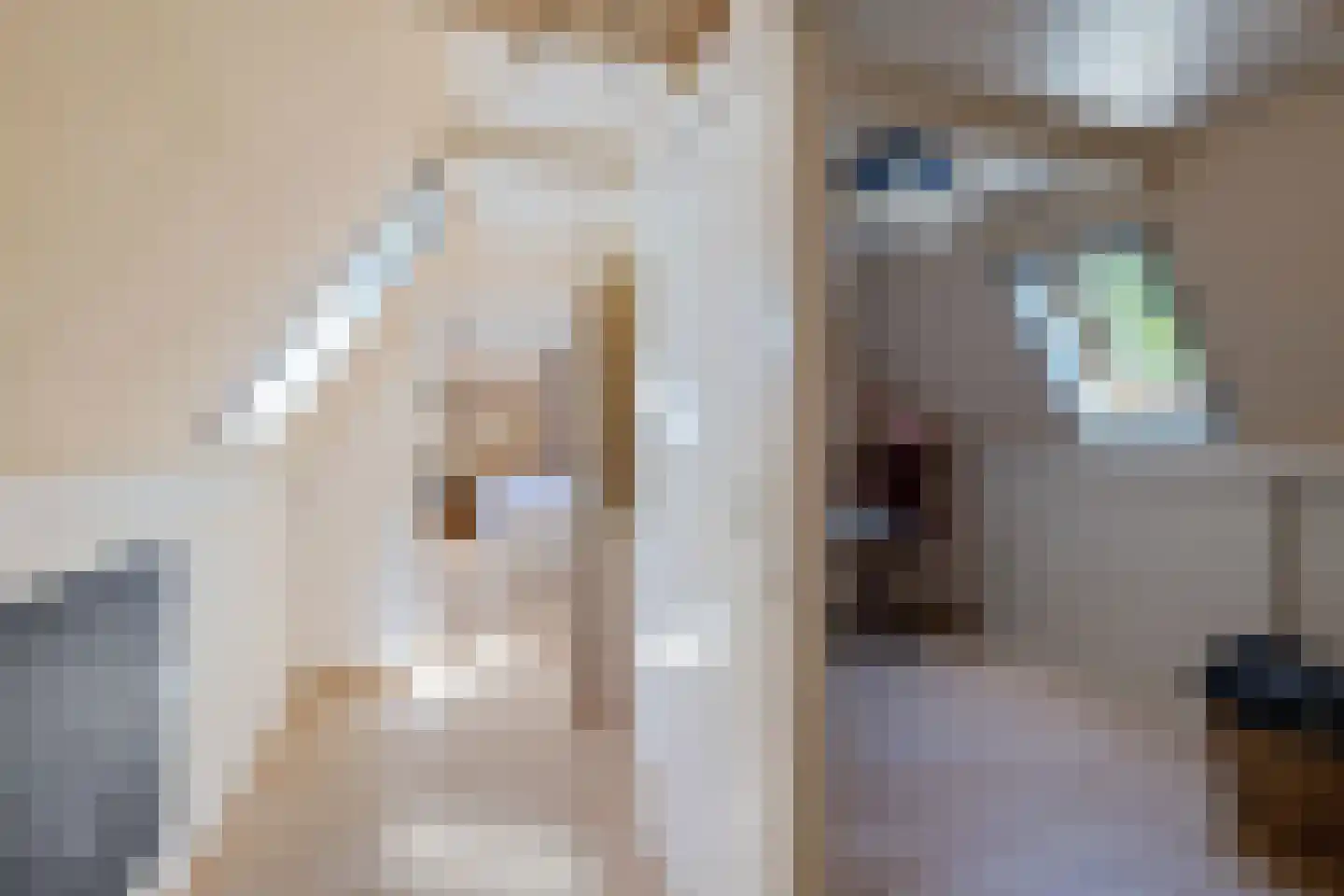 Skieppereed 22 Ie thumbnail 34