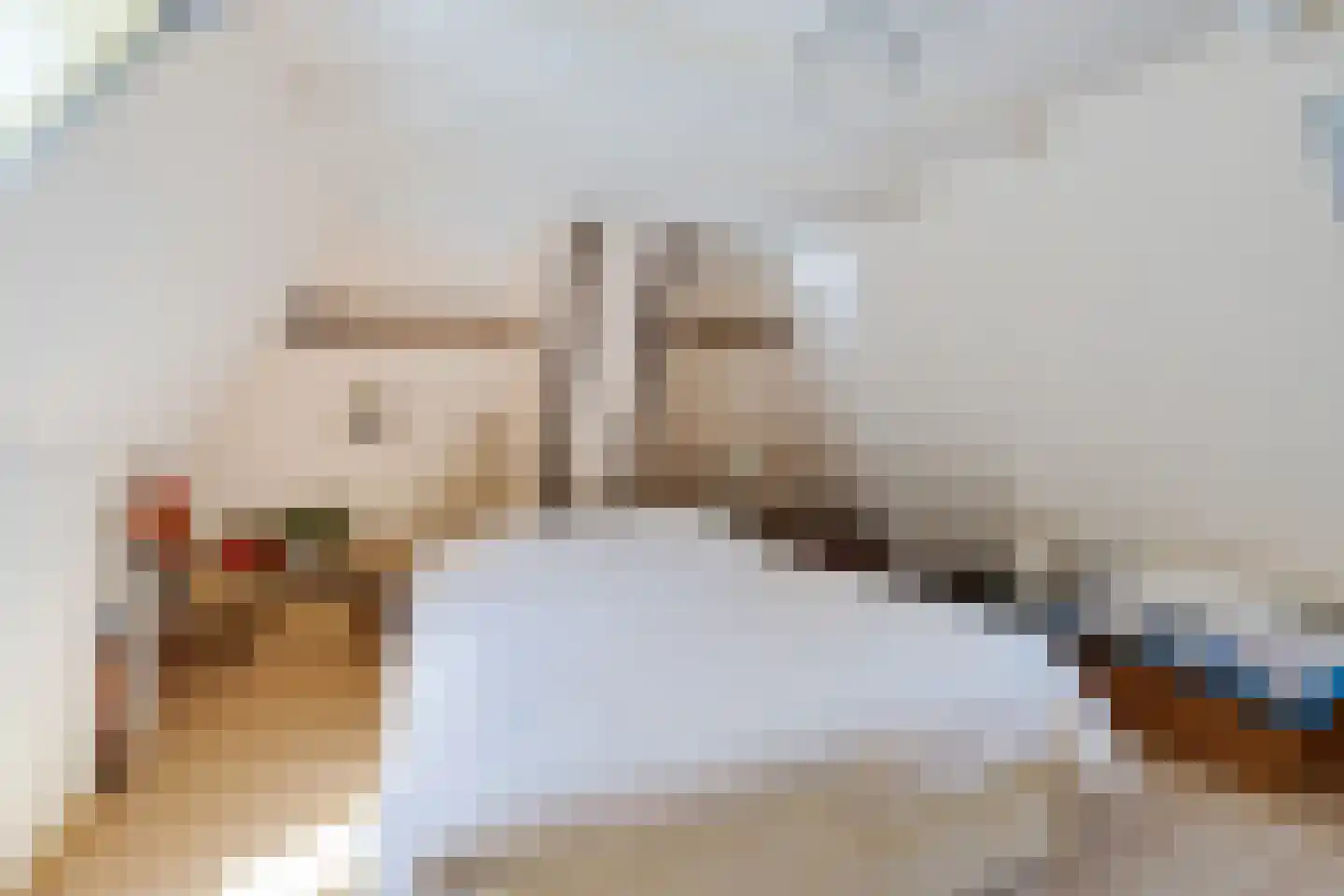 Skieppereed 22 Ie thumbnail 35