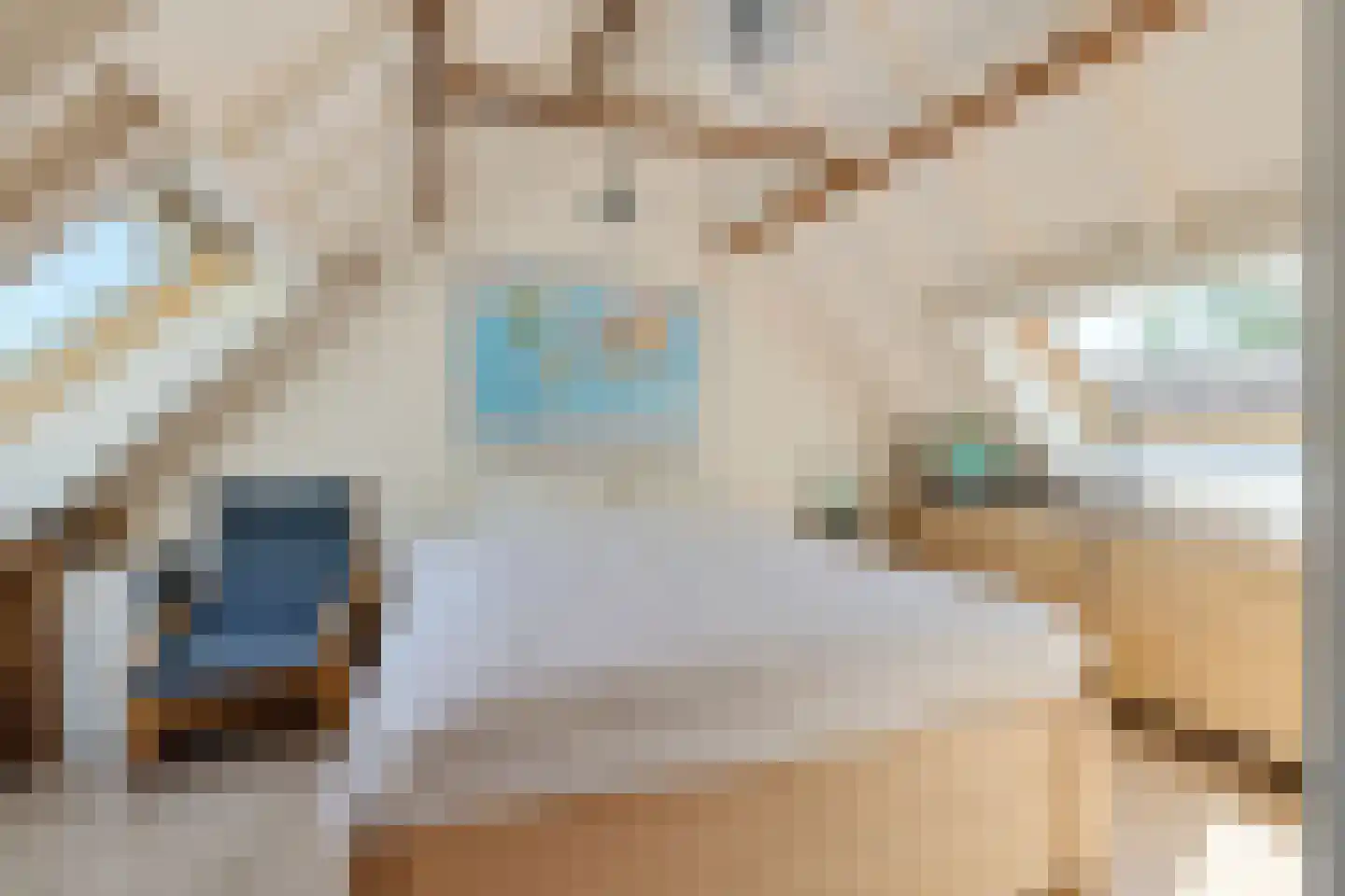 Skieppereed 22 Ie thumbnail 36