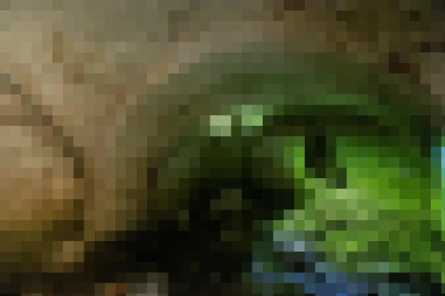 Skieppereed 22 Ie thumbnail 37