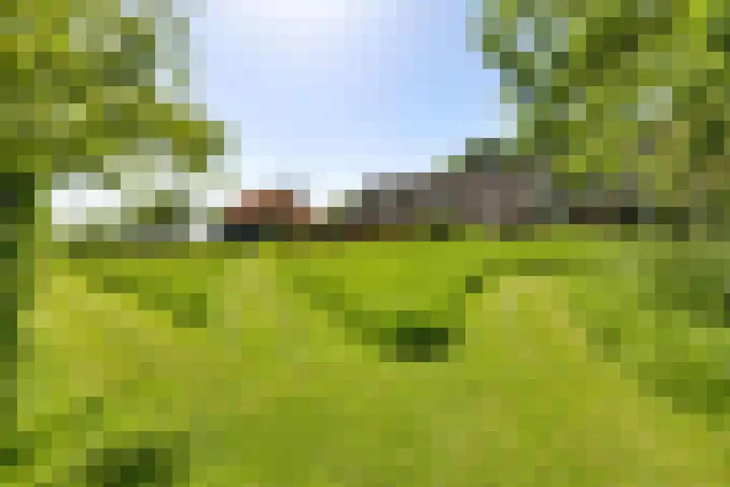 Skieppereed 22 Ie thumbnail 4