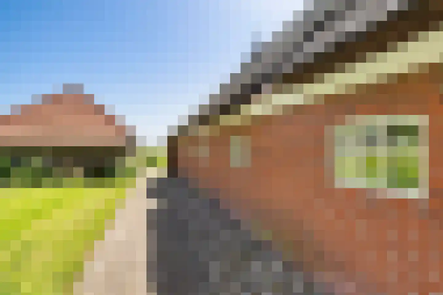 Skieppereed 22 Ie thumbnail 42