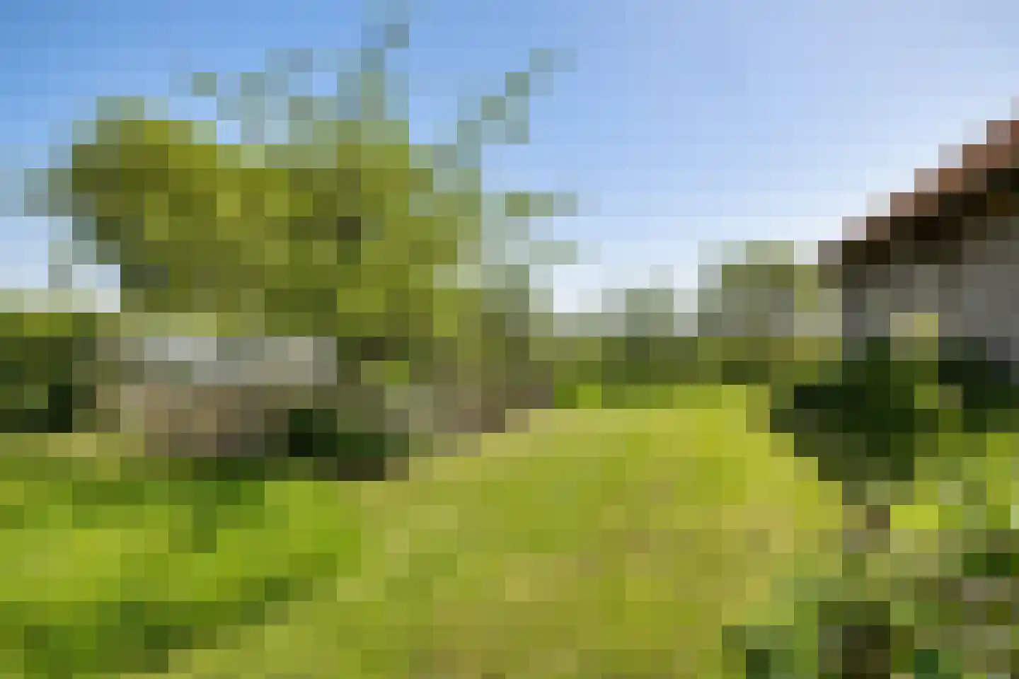 Skieppereed 22 Ie thumbnail 43