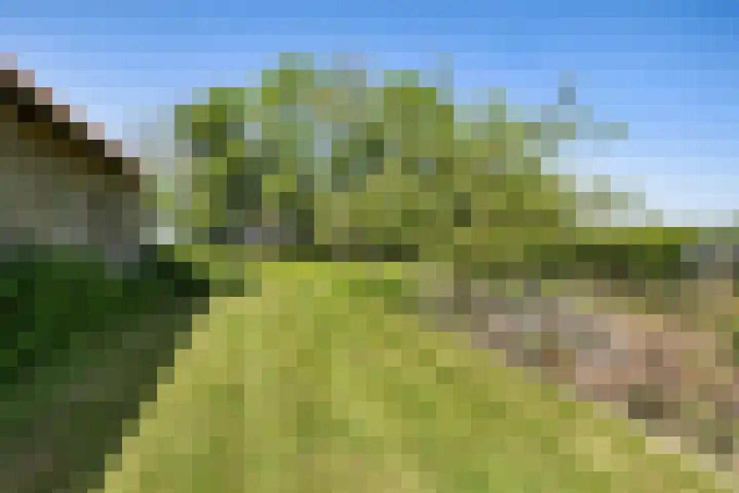 Skieppereed 22 Ie thumbnail 44