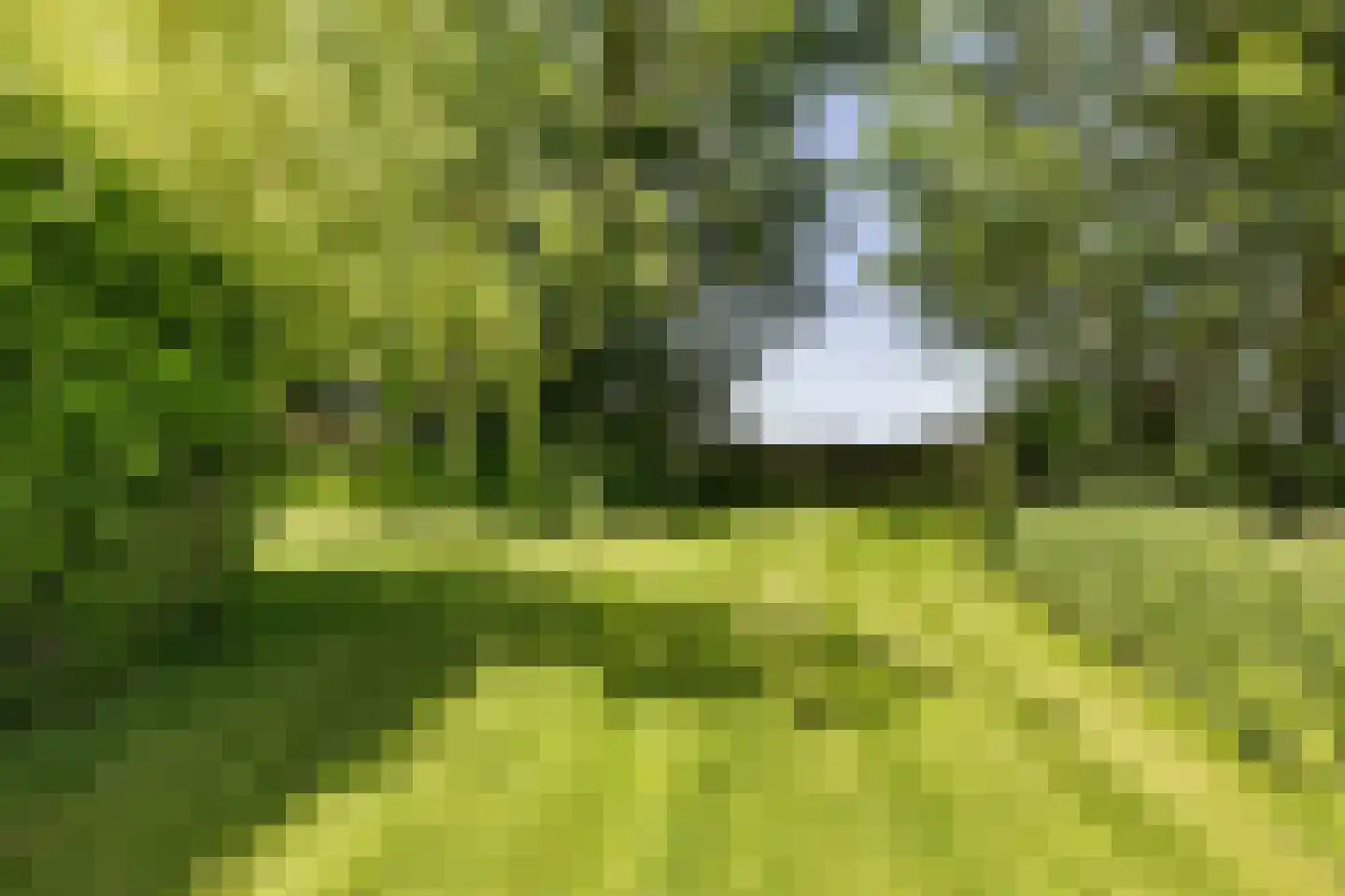 Skieppereed 22 Ie thumbnail 46
