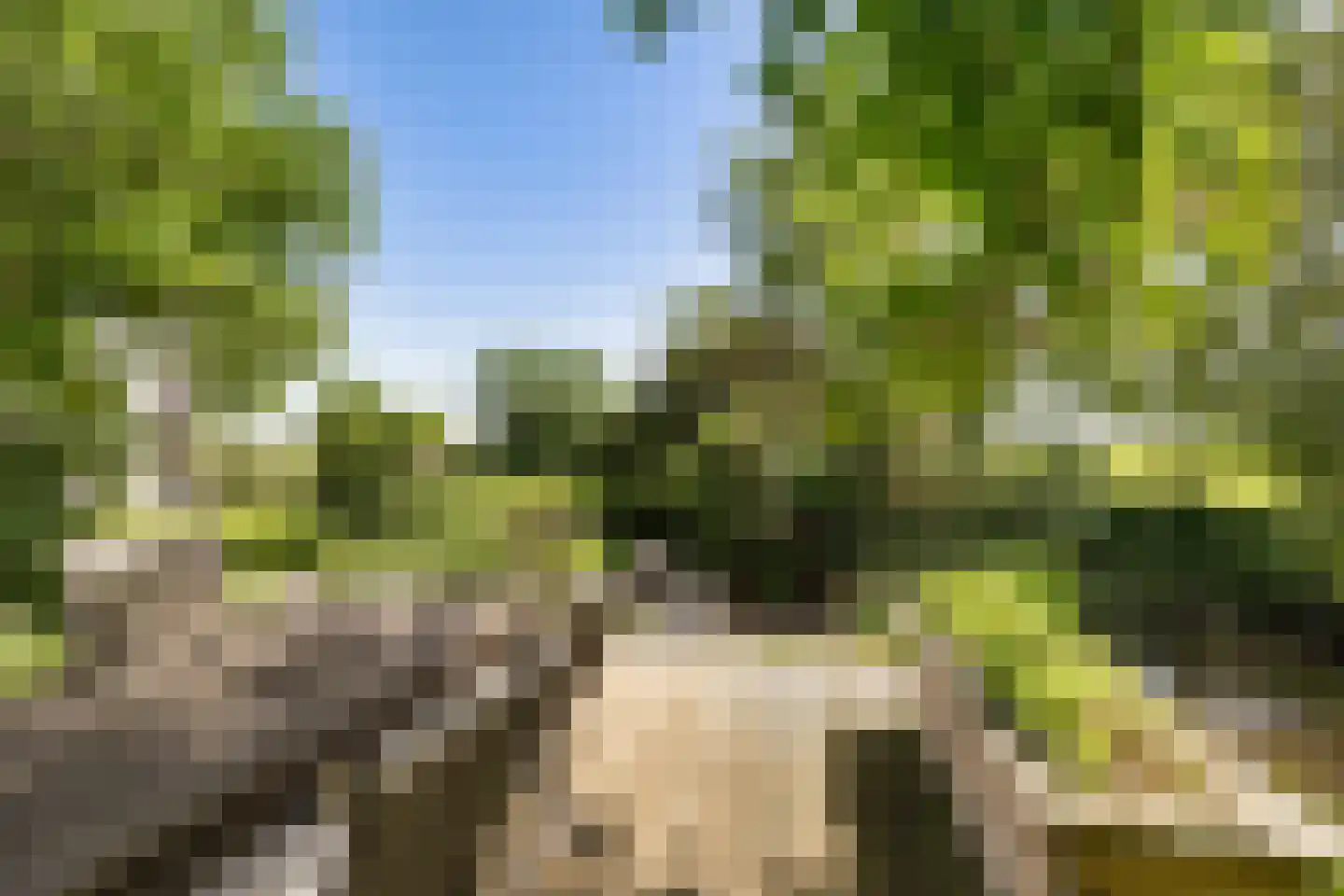 Skieppereed 22 Ie thumbnail 48