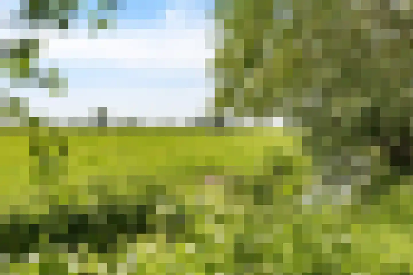 Skieppereed 22 Ie thumbnail 52