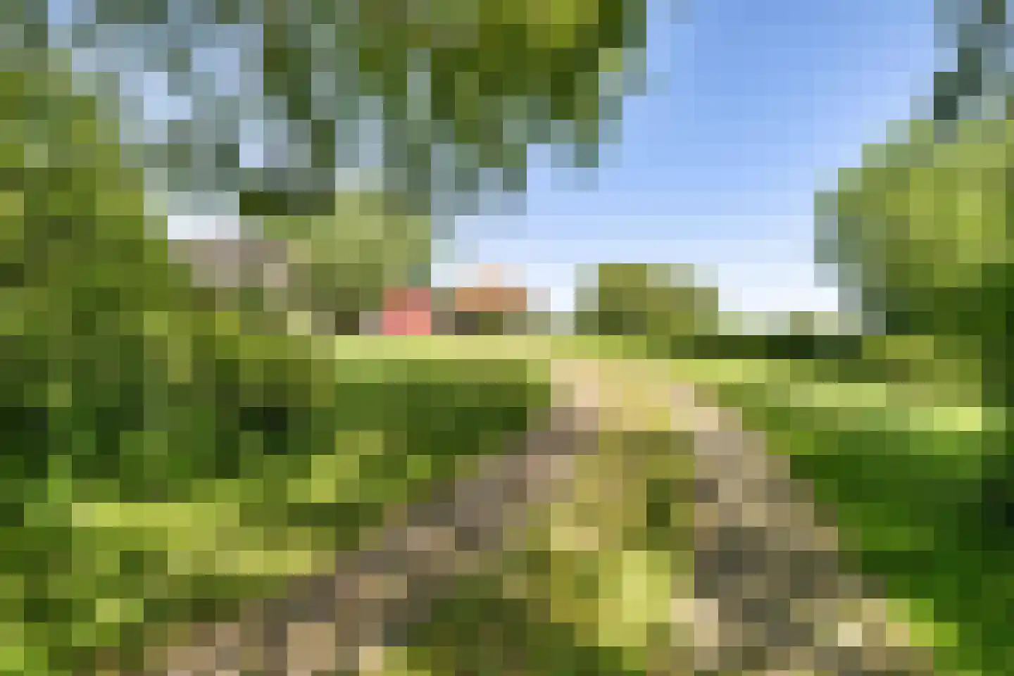 Skieppereed 22 Ie thumbnail 53