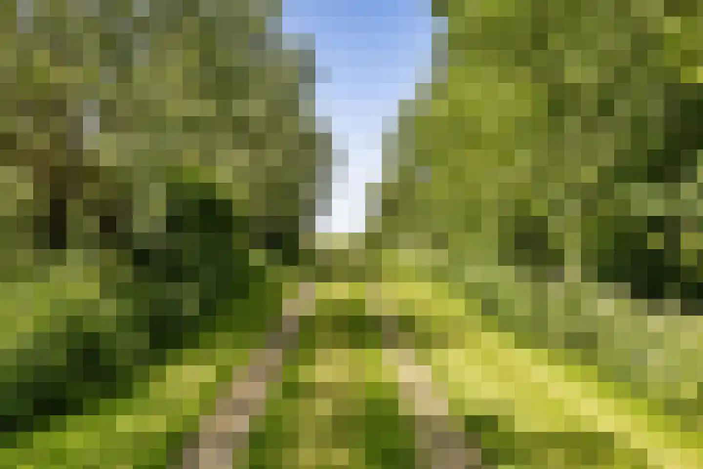 Skieppereed 22 Ie thumbnail 54