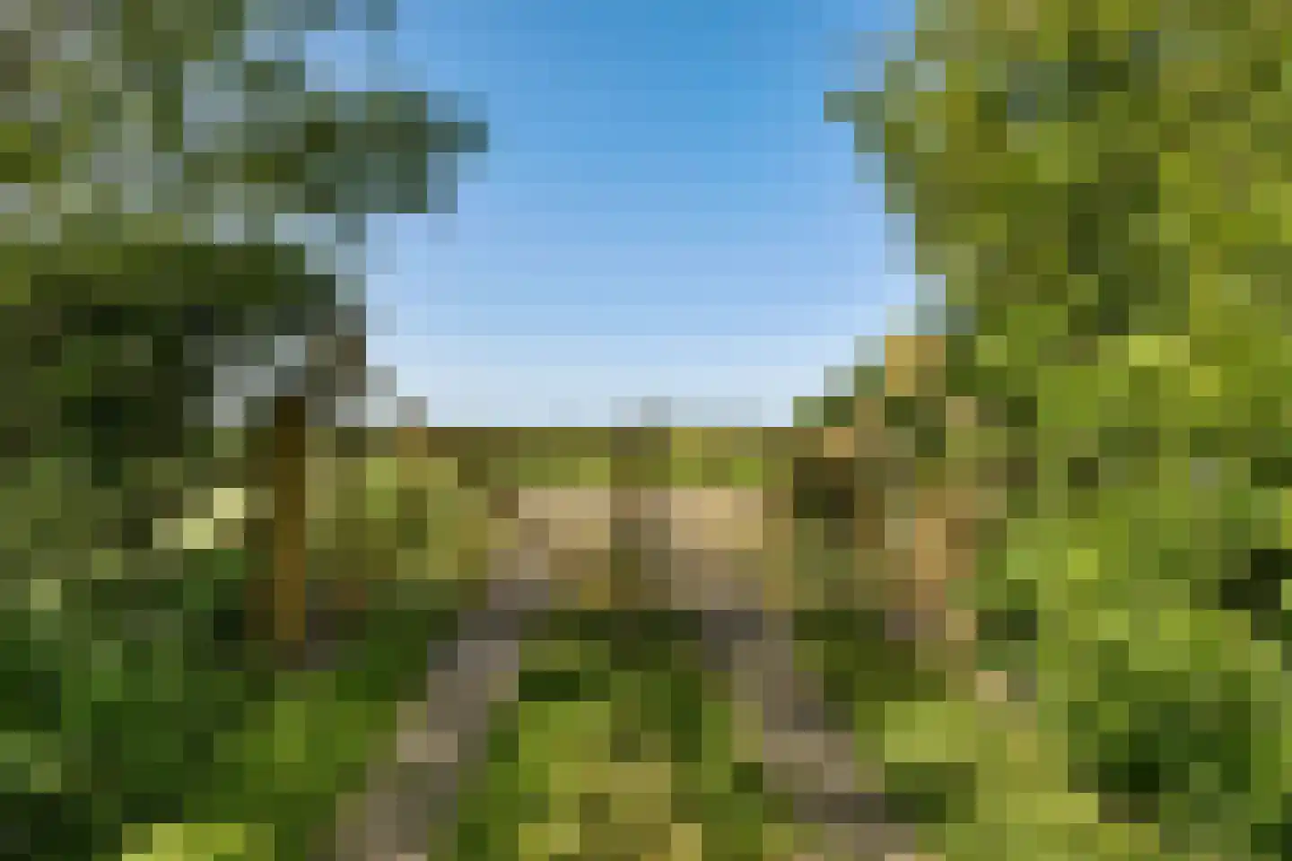 Skieppereed 22 Ie thumbnail 55