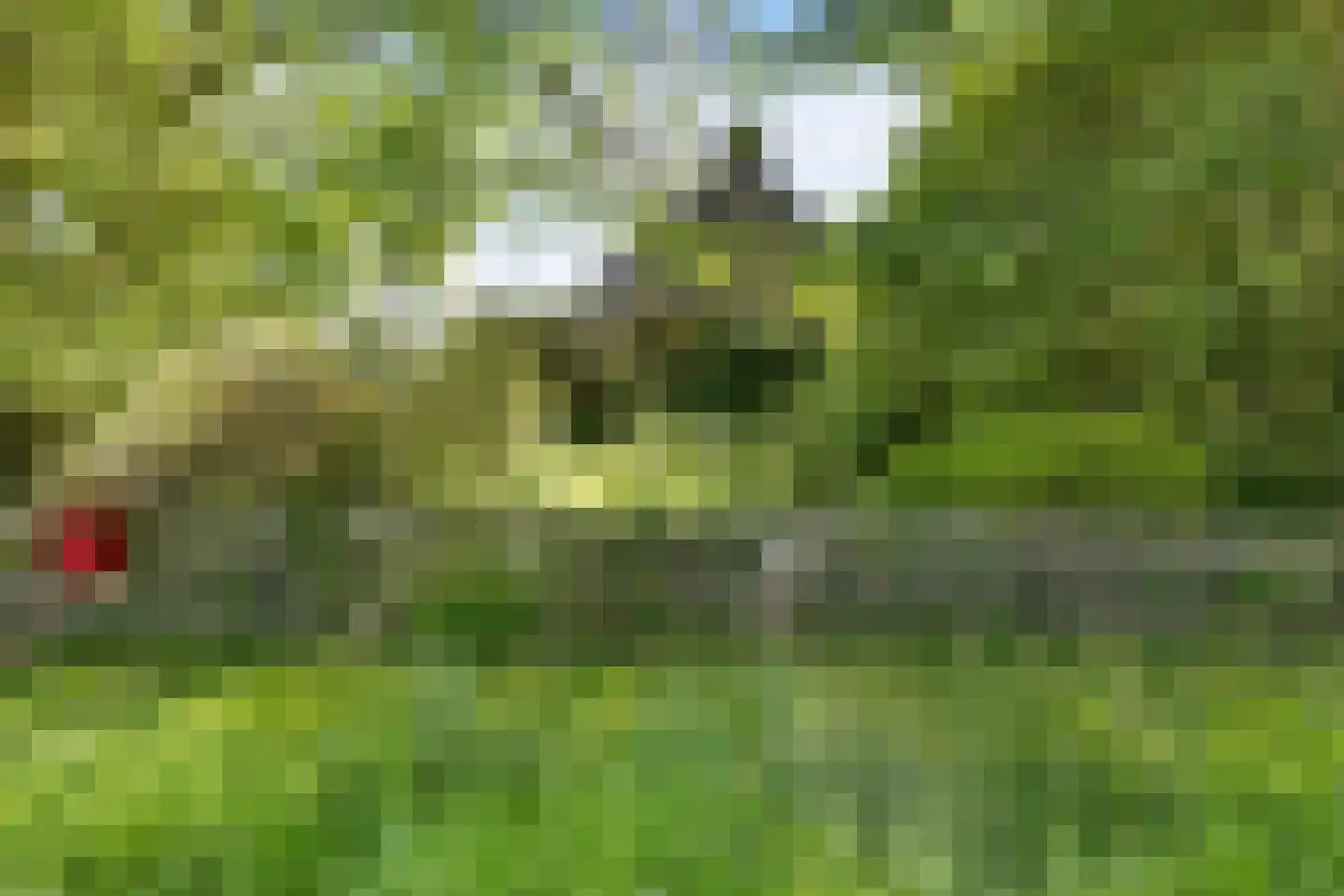 Skieppereed 22 Ie thumbnail 56