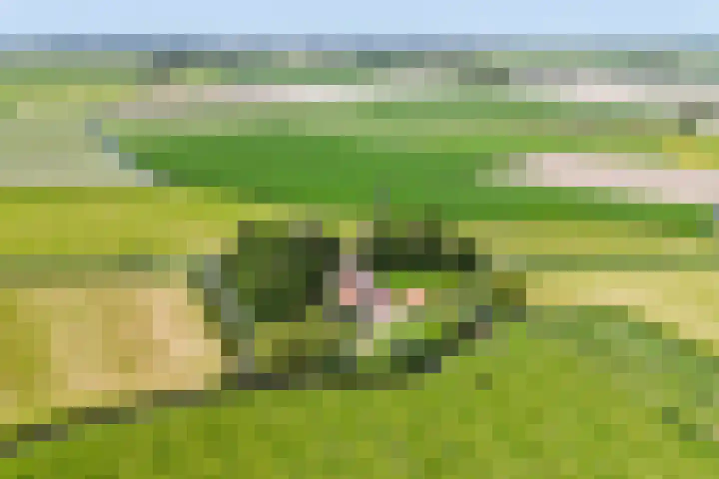 Skieppereed 22 Ie thumbnail 57
