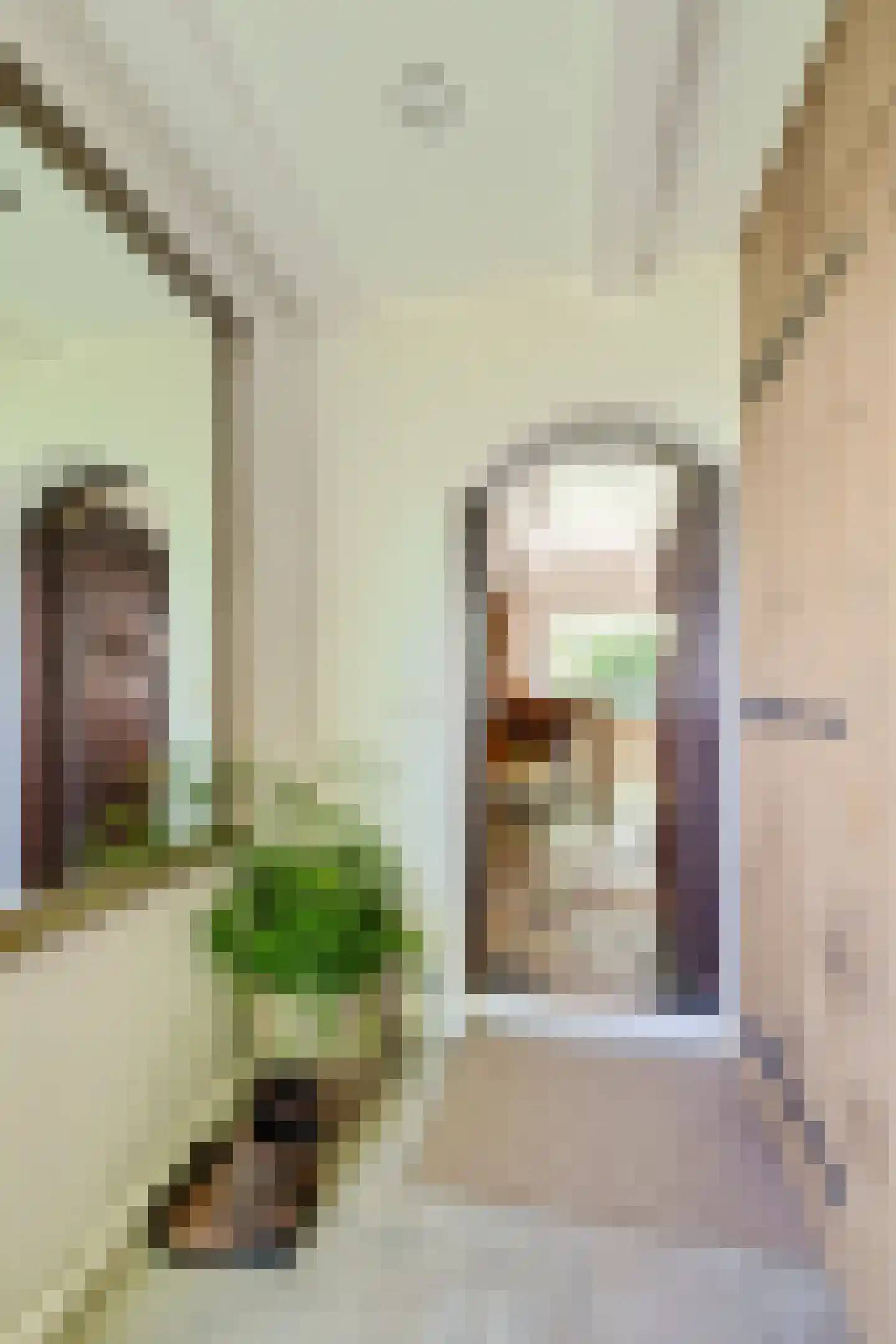 Skieppereed 22 Ie thumbnail 8