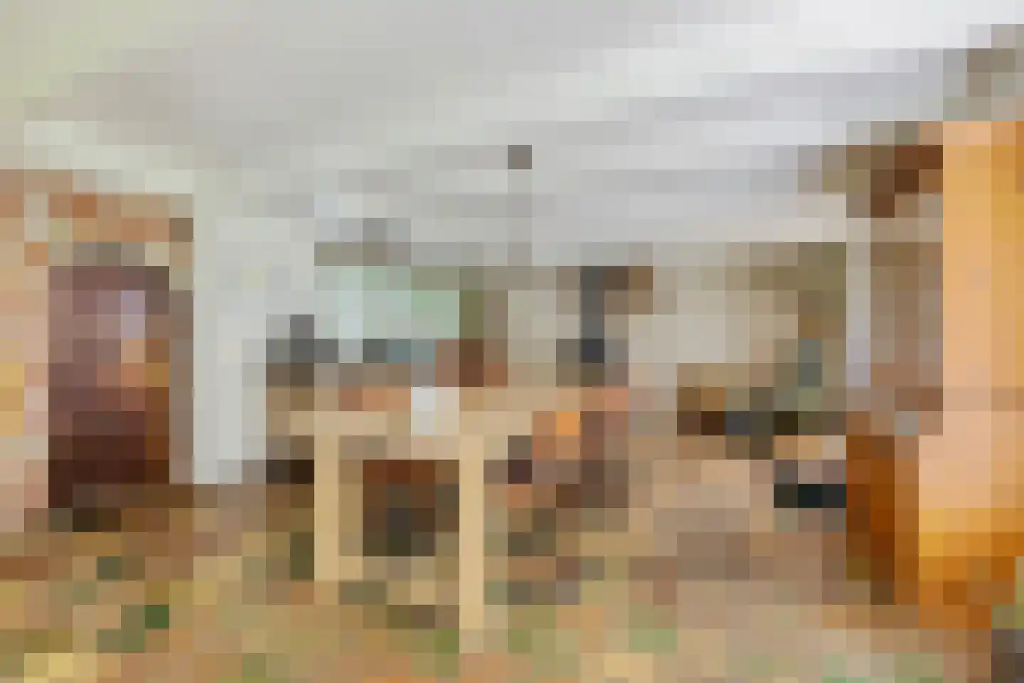 Skieppereed 22 Ie thumbnail 9