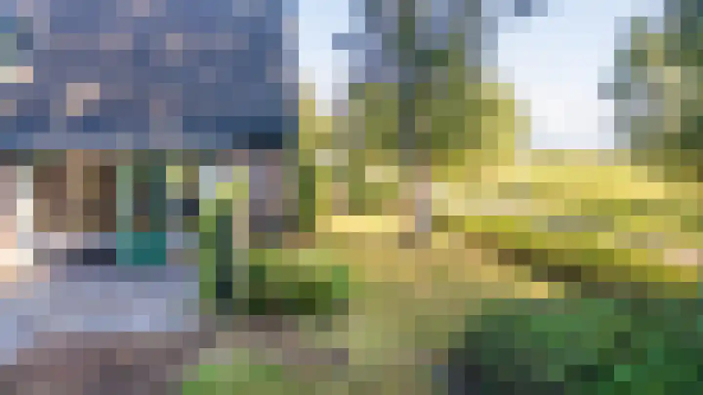 Skierstins 12 Feanwâlden thumbnail 11