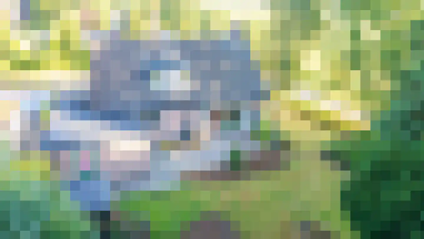 Skierstins 12 Feanwâlden thumbnail 13
