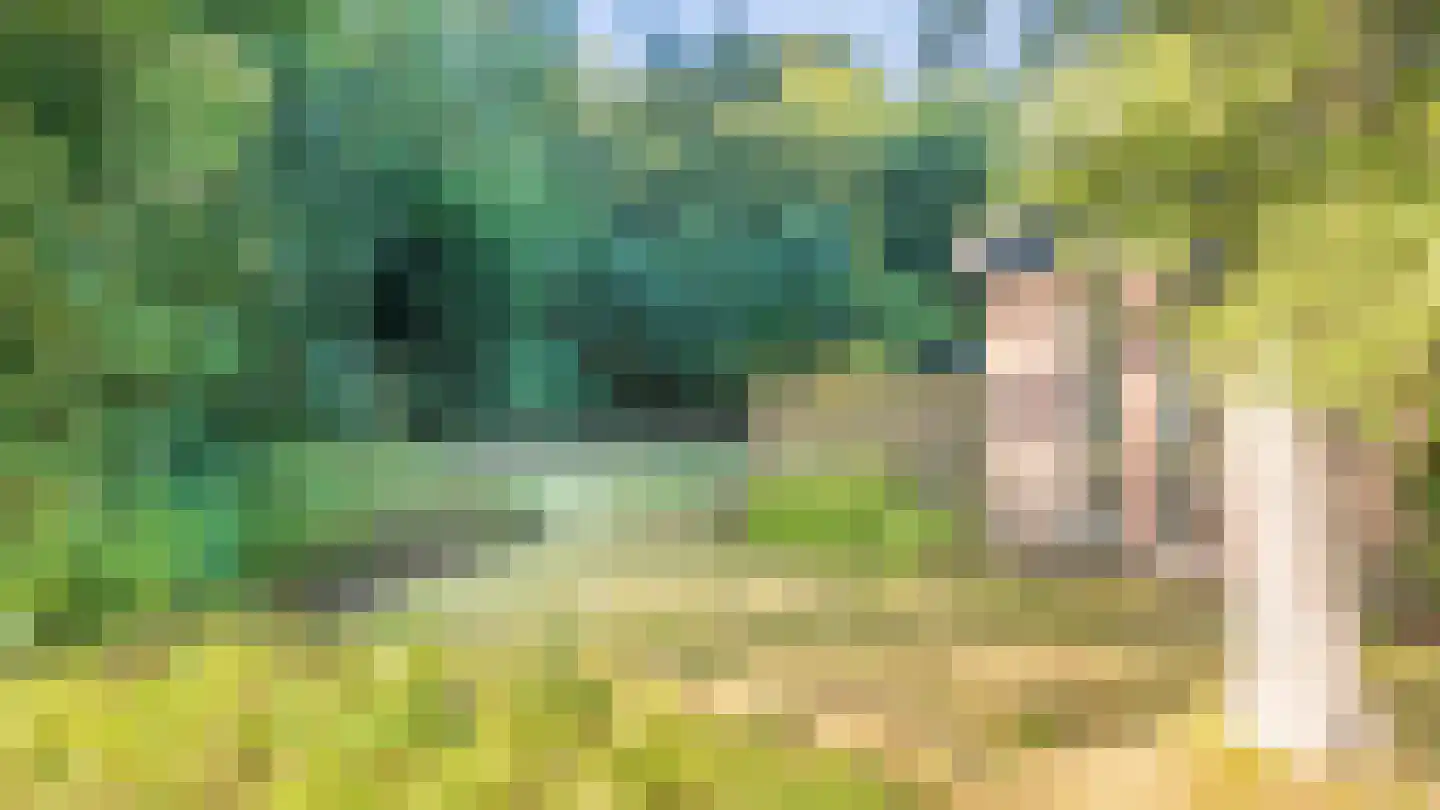Skierstins 12 Feanwâlden thumbnail 14