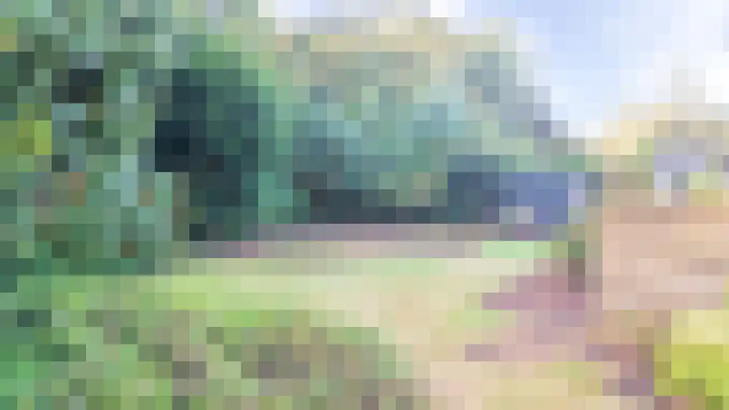 Skierstins 12 Feanwâlden thumbnail 15