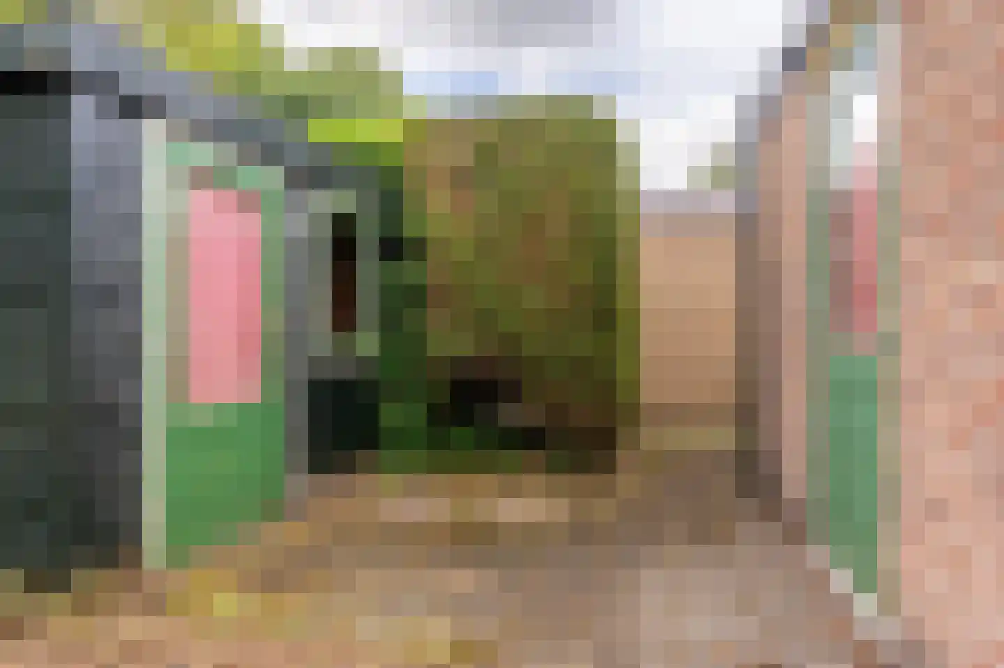 Skierstins 12 Feanwâlden thumbnail 19