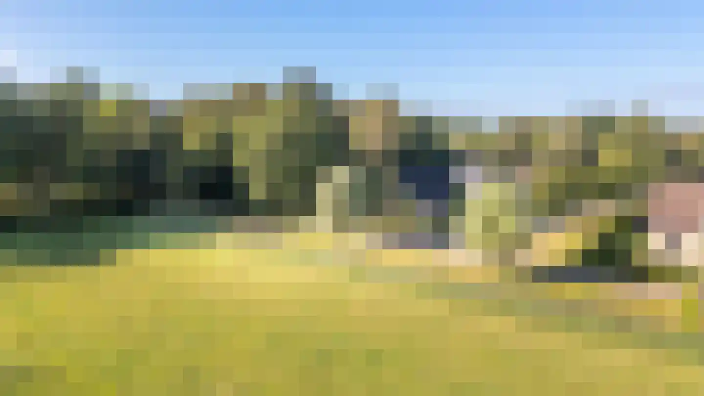 Skierstins 12 Feanwâlden thumbnail 23