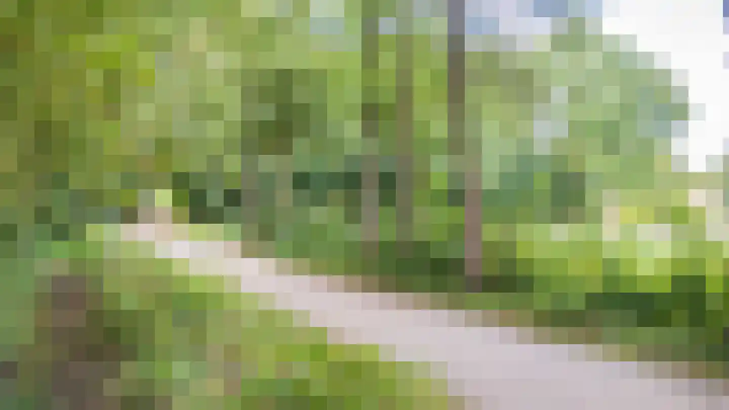 Skierstins 12 Feanwâlden thumbnail 24