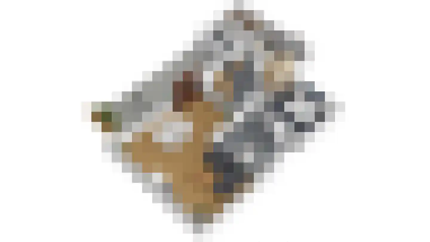 Skierstins 12 Feanwâlden thumbnail 25