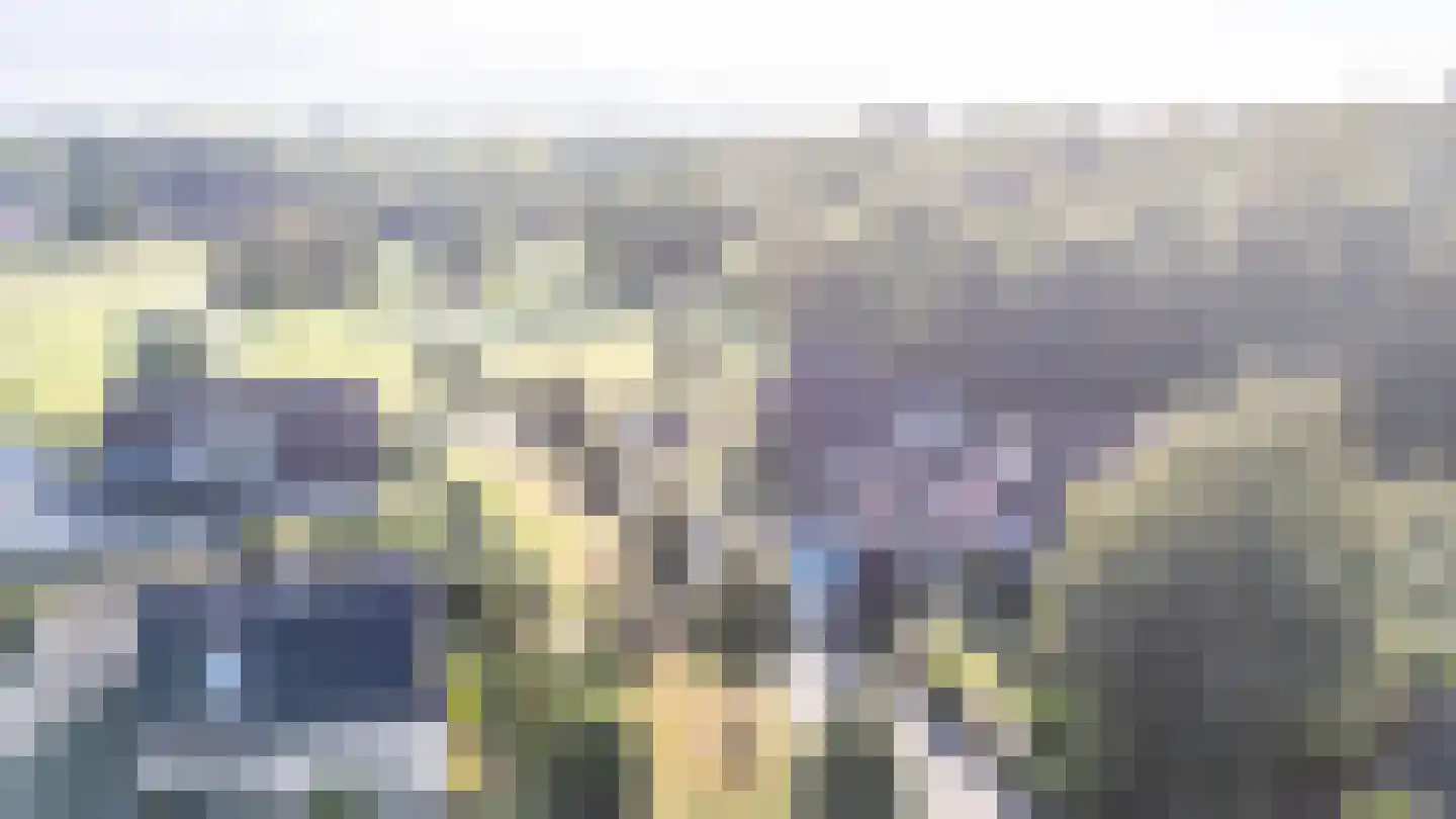 Skierstins 12 Feanwâlden thumbnail 4