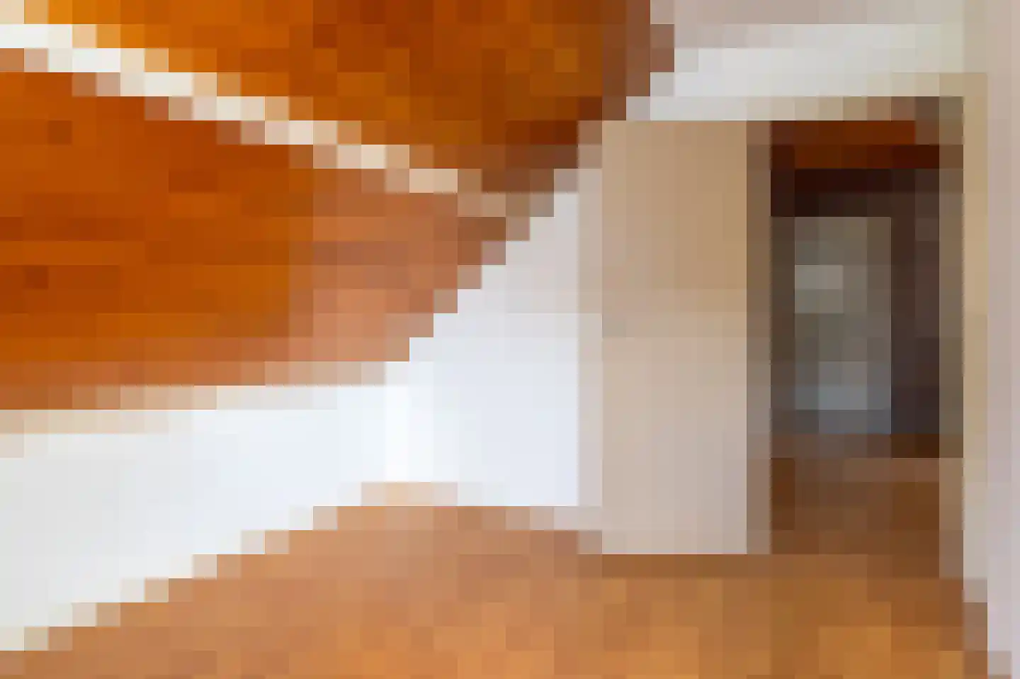 Skierstins 12 Feanwâlden thumbnail 57