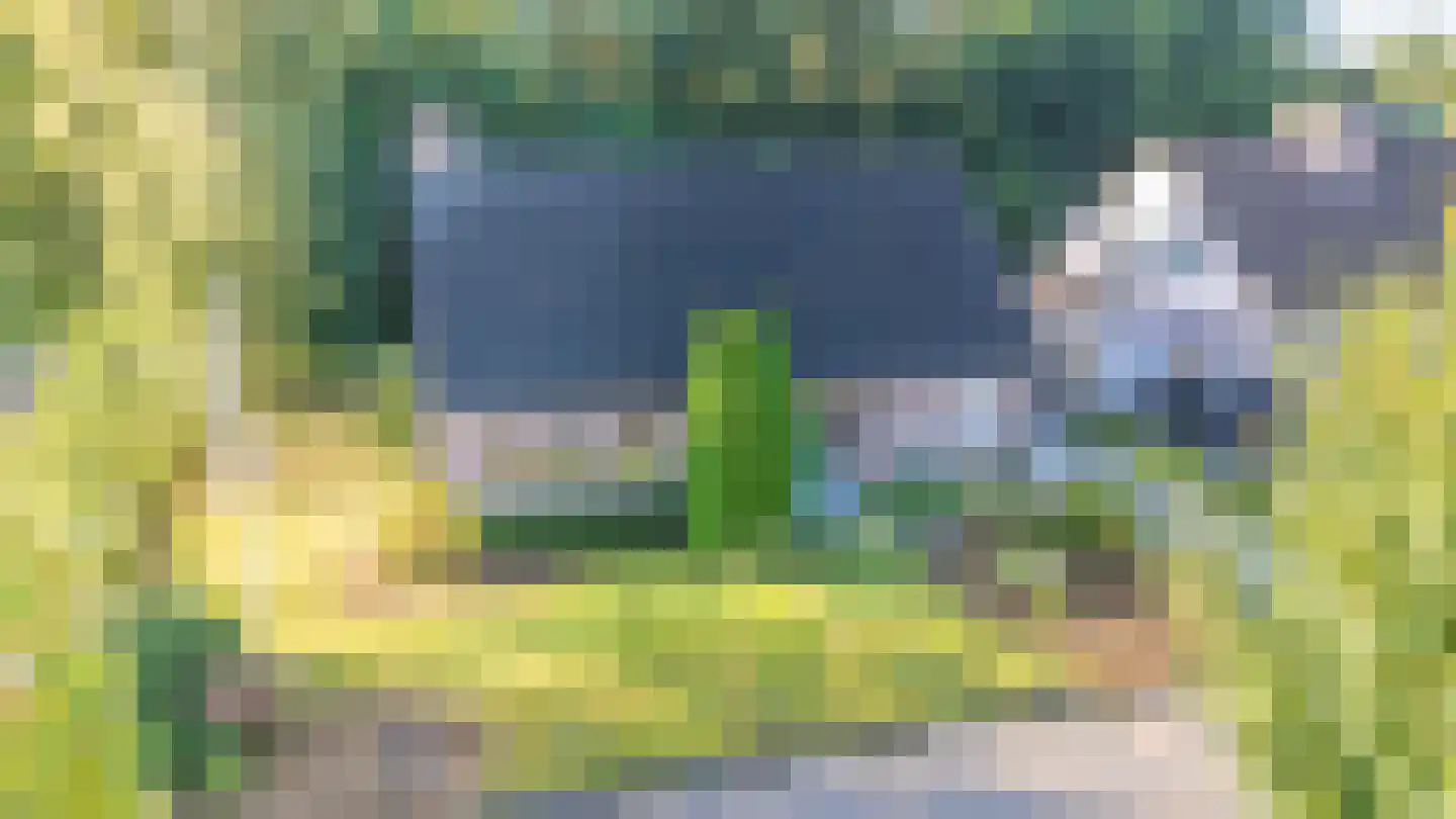 Skierstins 12 Feanwâlden thumbnail 7