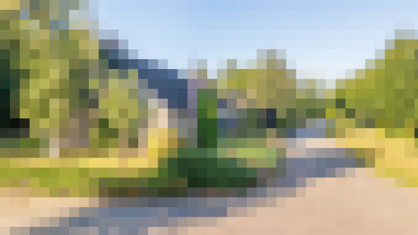 Skierstins 12 Feanwâlden thumbnail 8