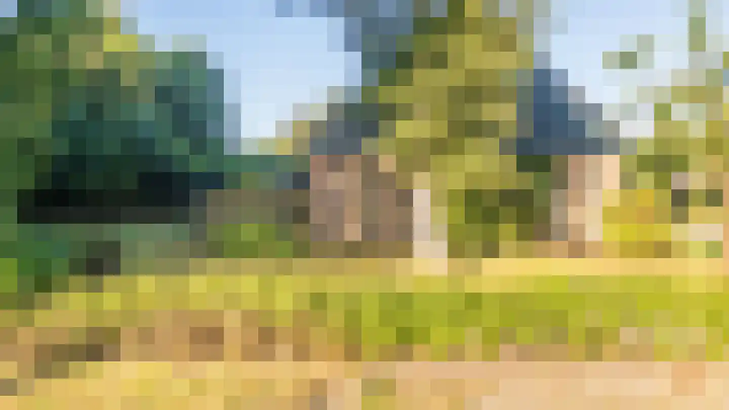 Skierstins 12 Feanwâlden thumbnail 9