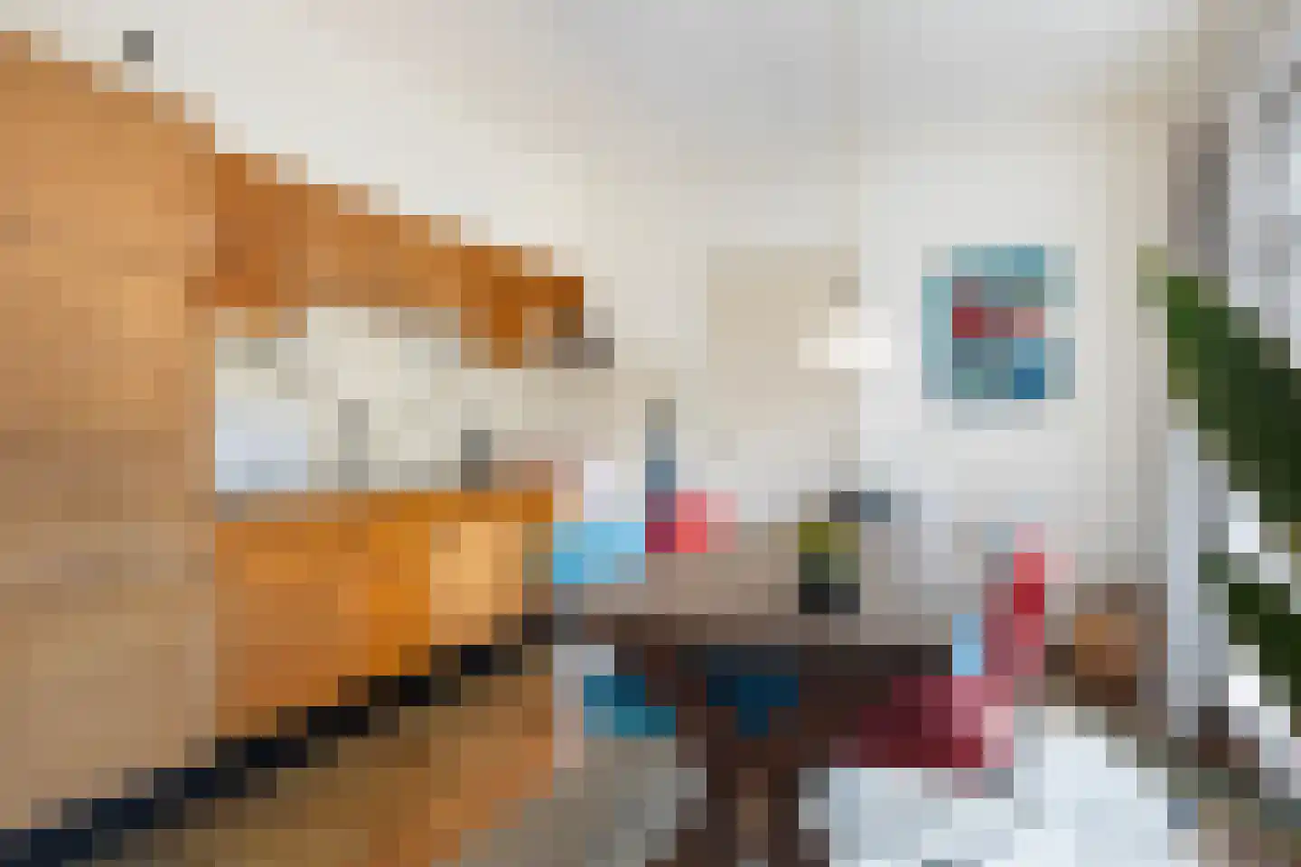 Skierstins 8 Feanwâlden thumbnail 13