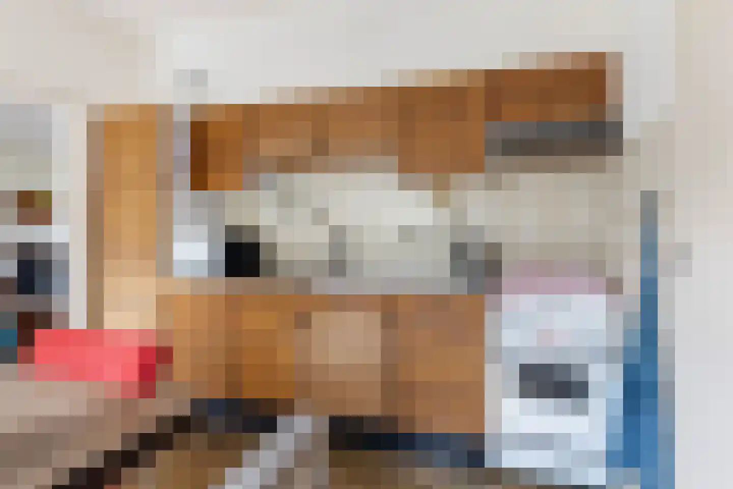 Skierstins 8 Feanwâlden thumbnail 15